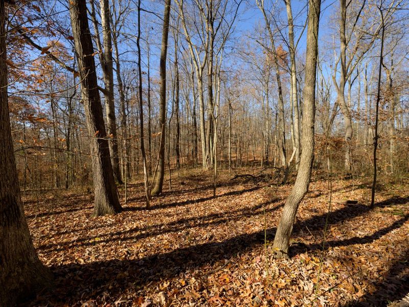 0 Morning Star Road, Racine, OH 45771 Photo 15