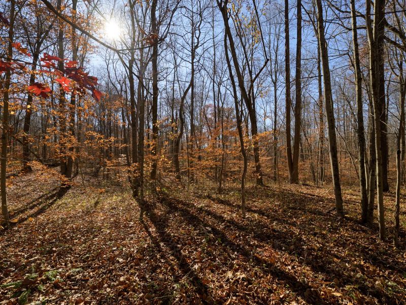 0 Morning Star Road, Racine, OH 45771 Photo 3