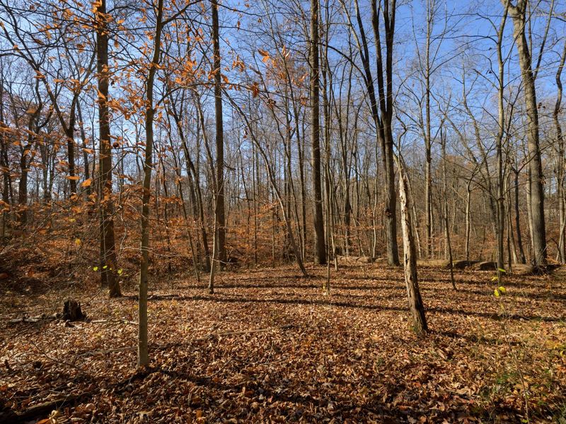 0 Morning Star Road, Racine, OH 45771 Photo 4