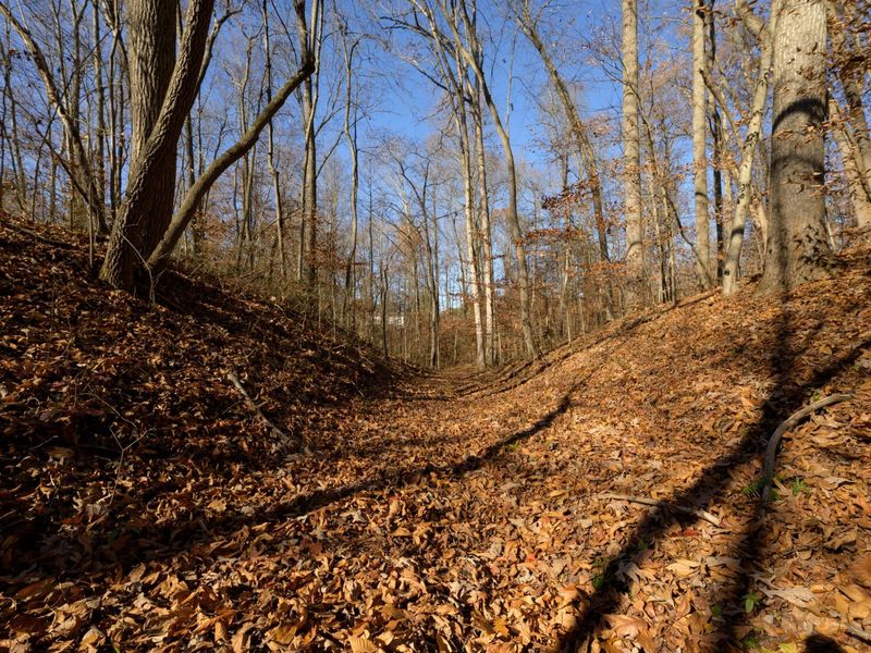 0 Morning Star Road, Racine, OH 45771 Photo 6