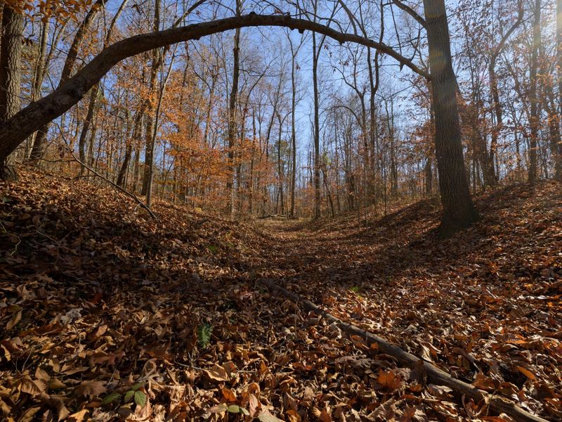 0 Morning Star Road, Racine, OH 45771 Photo 7