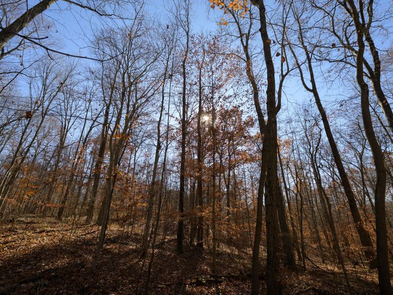 0 Morning Star Road, Racine, OH 45771 Photo 8