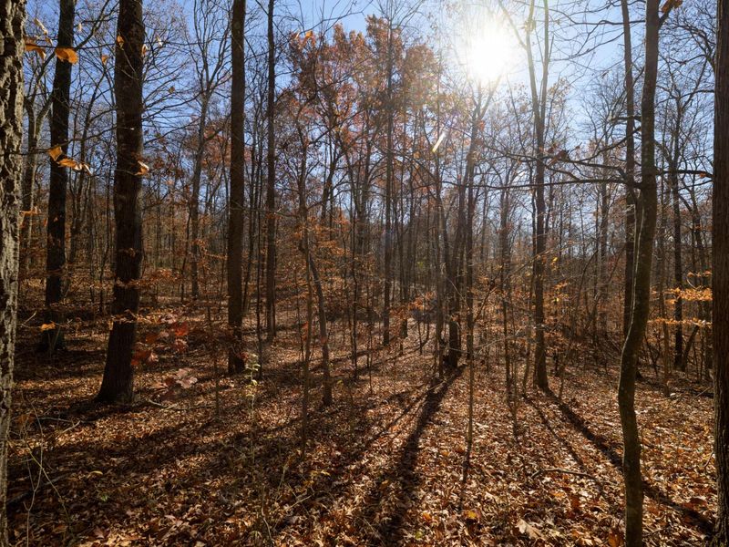 0 Morning Star Road, Racine, OH 45771 Photo 9