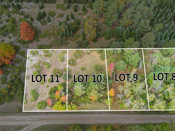 V/L Trout Creek Road, Cheboygan, MI 49721