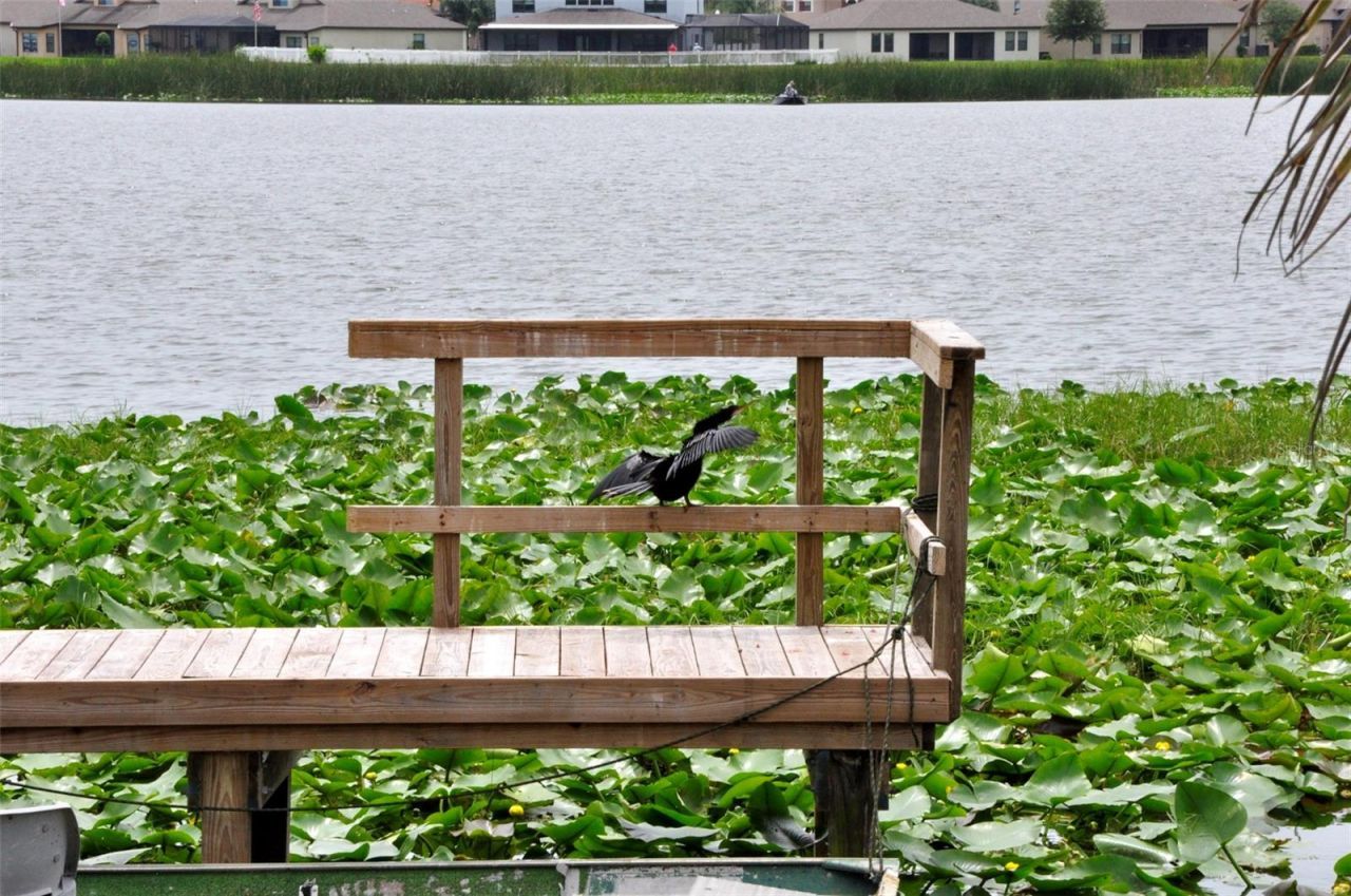 1600 W Lake Parker Drive, Unit A3, Lakeland, FL 33805 Photo