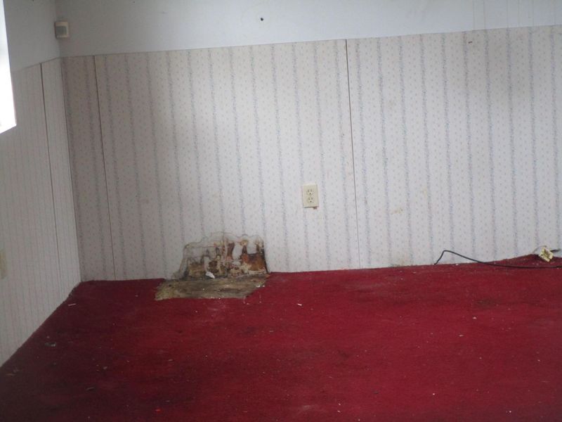 433 Patterson Street, Marion, OH 43302 Photo 6