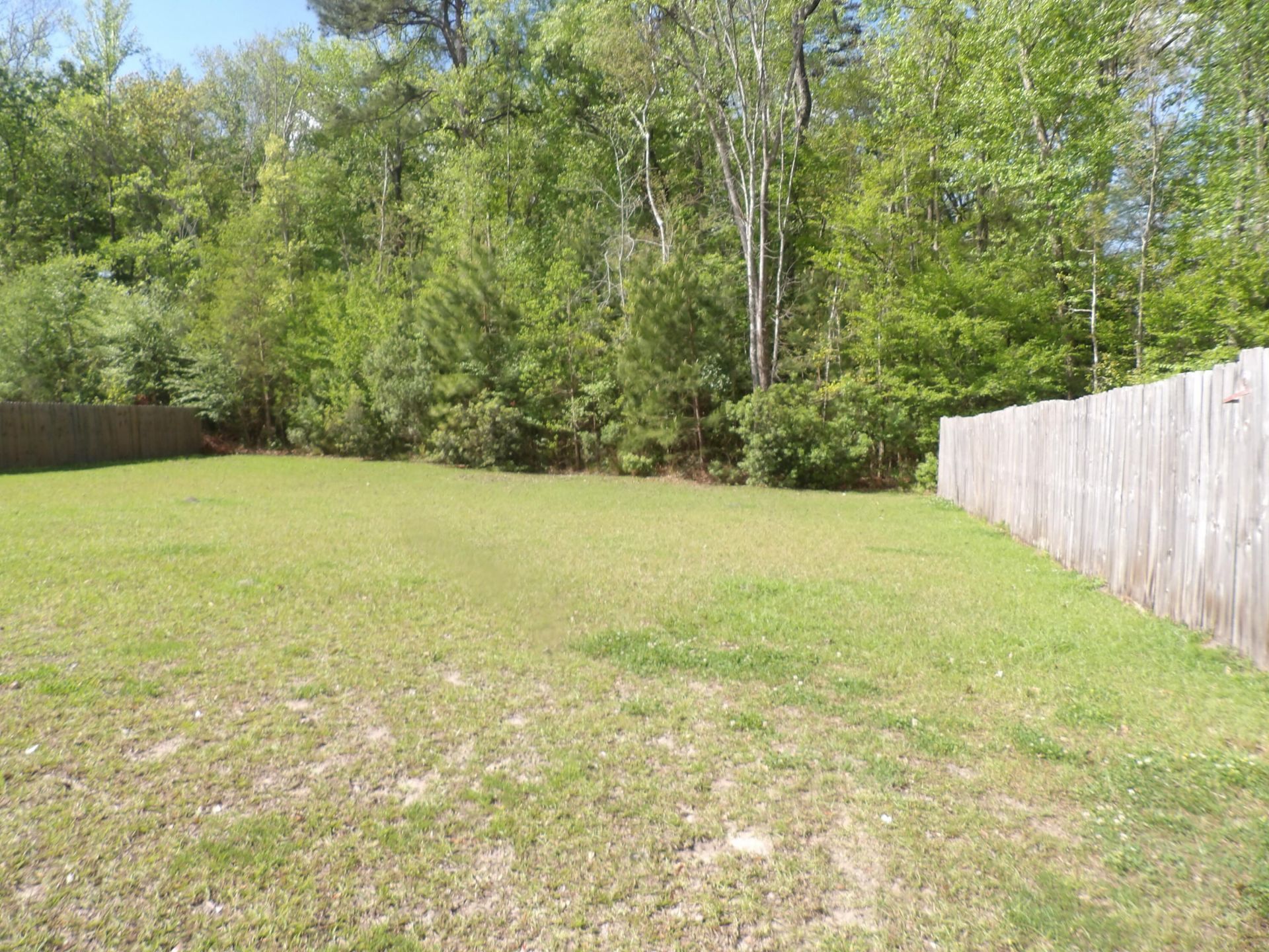 9711 Flooded Field Drive Photo 11