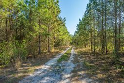 380 Rhode Drive photo 4