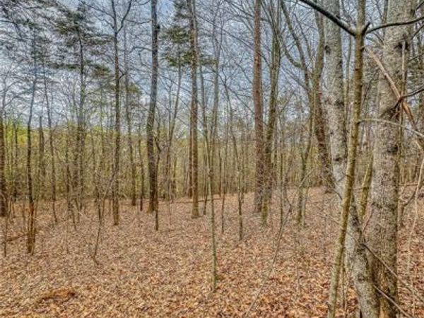 141 Green Meadows , Dahlonega, GA 30533