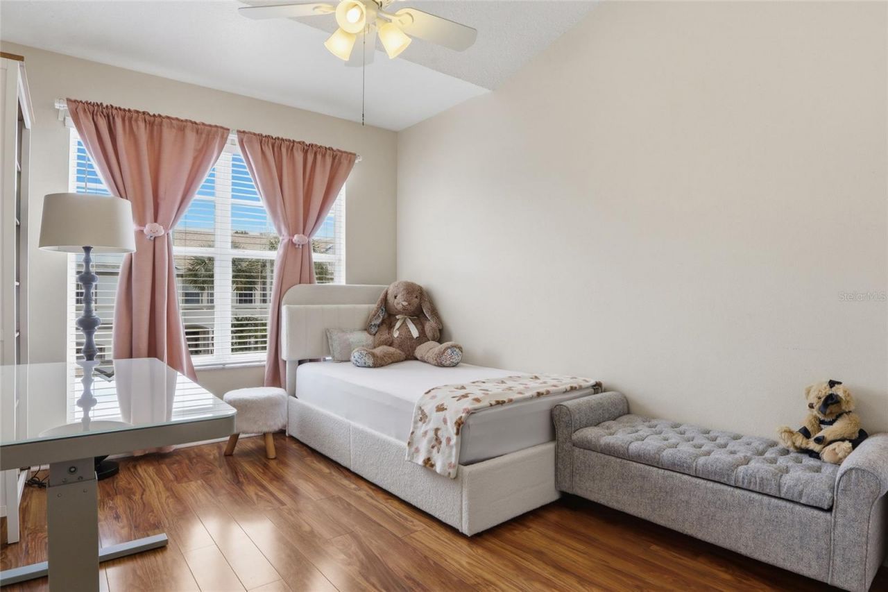 542 Black Lion Drive Ne, Saint Petersburg, FL 33716 Photo