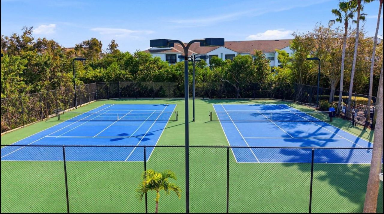 542 Black Lion Drive Ne, Saint Petersburg, FL 33716 Photo