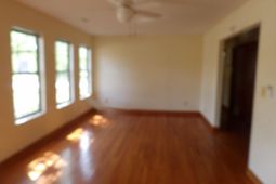 7601 Lady Street photo 4