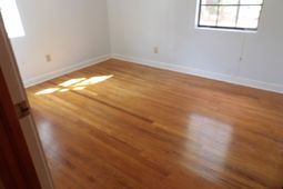 7601 Lady Street photo 4