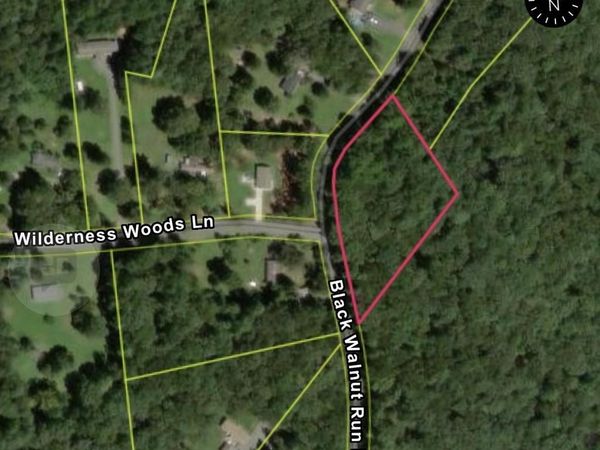 BLACK WALNUT RUN RD, RHOADESVILLE, VA 22542