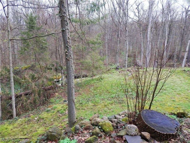 10200 Mayfield Road, Chesterland, OH 44026 Photo 30