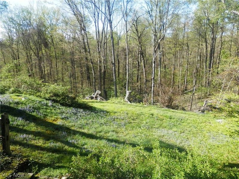 10200 Mayfield Road, Chesterland, OH 44026 Photo 34