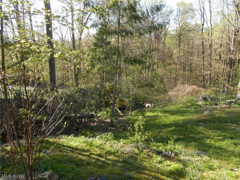 10200 Mayfield Road, Chesterland, OH 44026 Photo 36