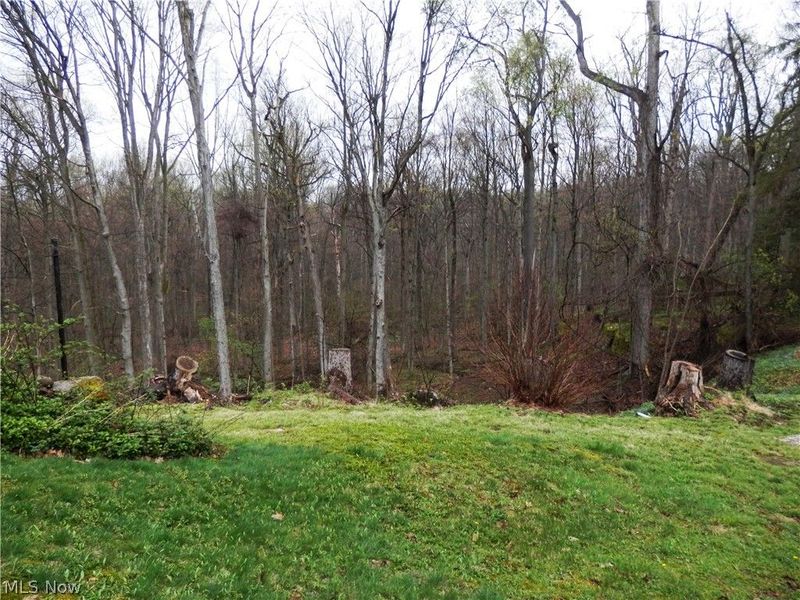 10200 Mayfield Road, Chesterland, OH 44026 Photo 6