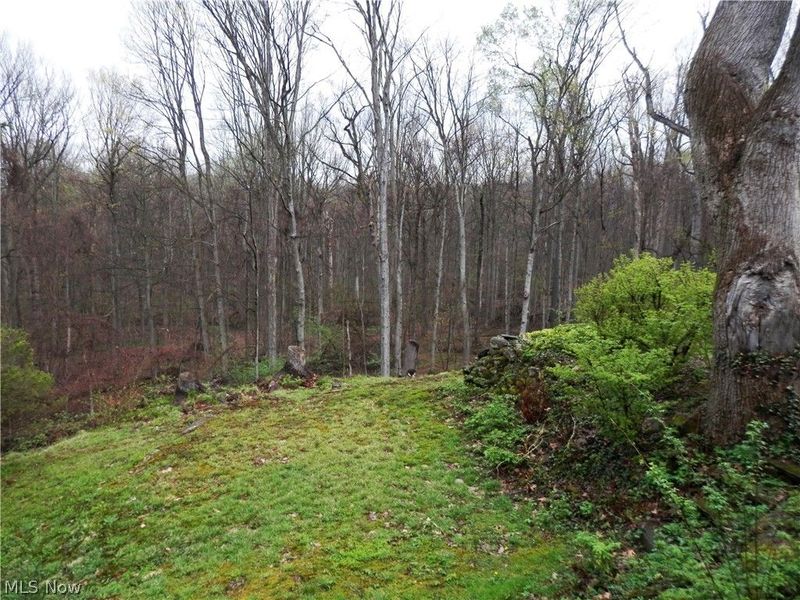 10200 Mayfield Road, Chesterland, OH 44026 Photo 7