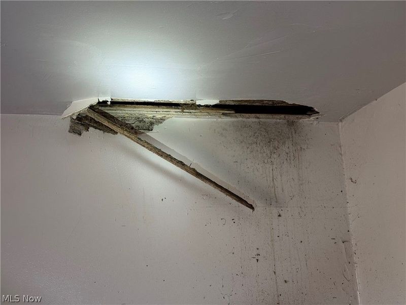 1319 E 114th Street, Cleveland, OH 44106 Photo 23