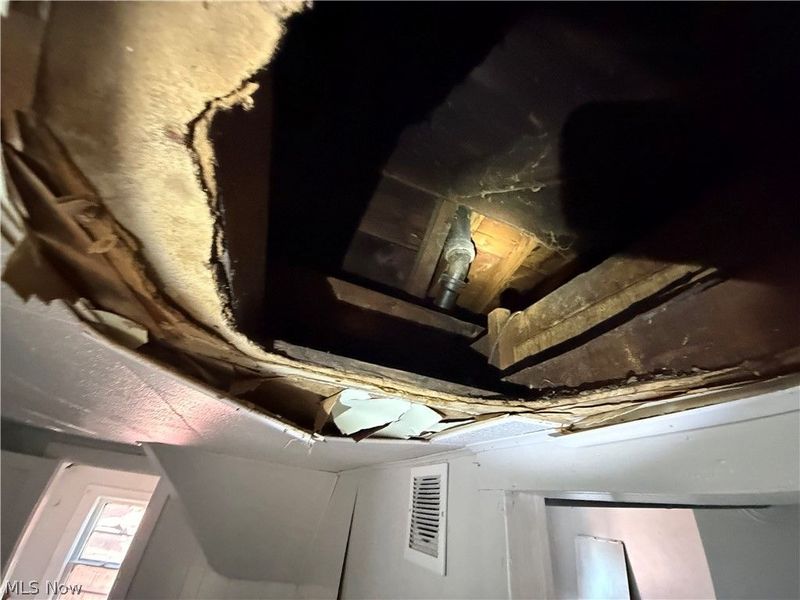 1319 E 114th Street, Cleveland, OH 44106 Photo 28