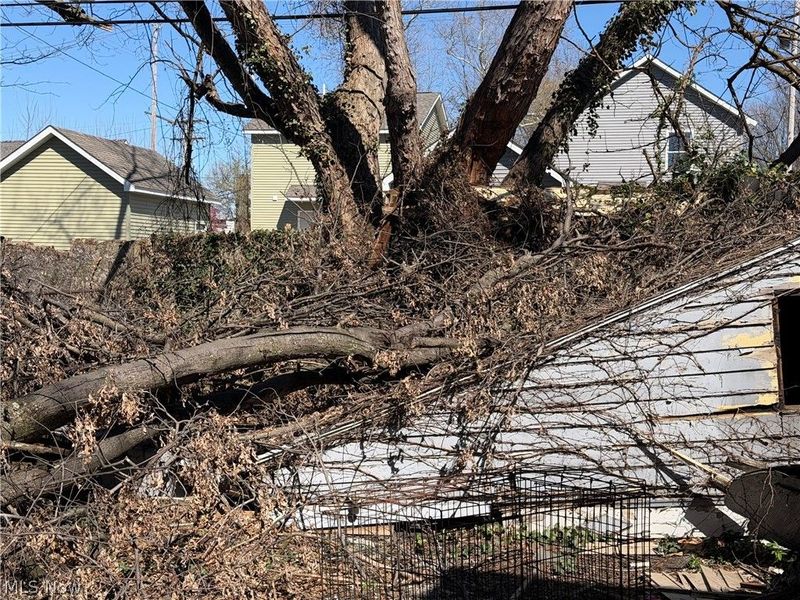 1319 E 114th Street, Cleveland, OH 44106 Photo 7