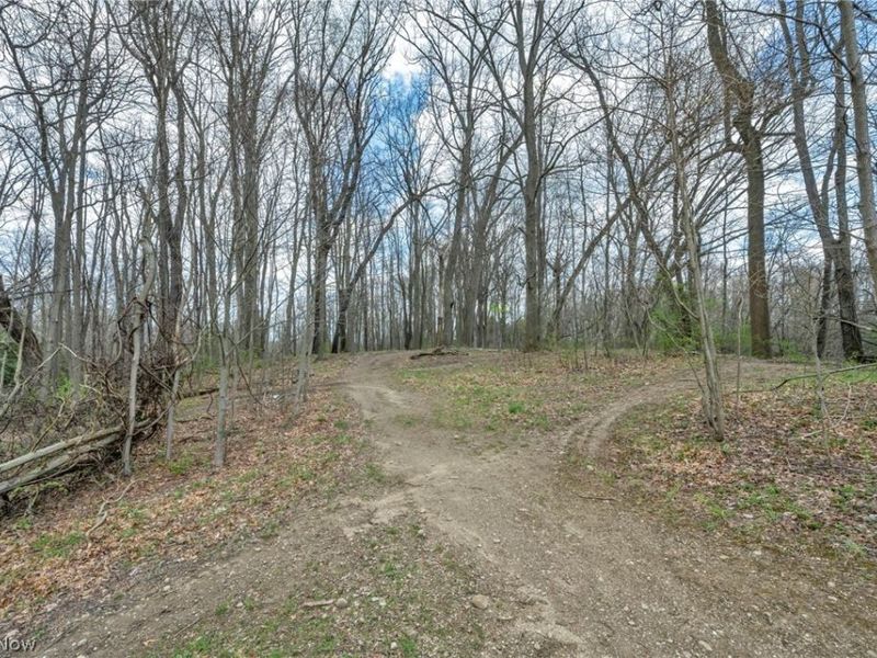 2287 Trares Road, Mogadore, OH 44260 Photo 44