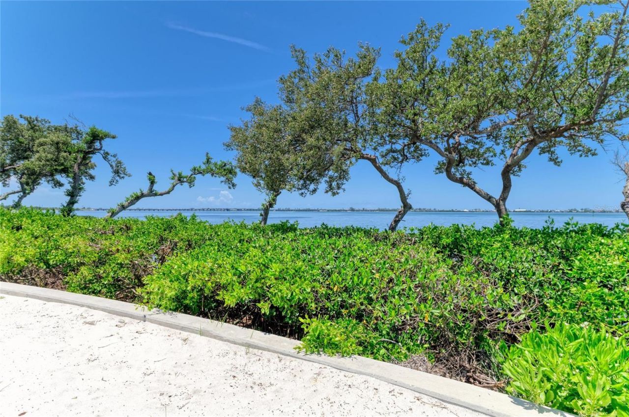 342 Castaway Cay Drive, Unit 201, Bradenton, FL 34209 Photo