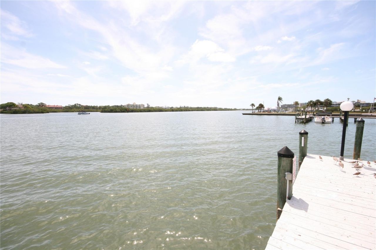 19701 Gulf Boulevard , Unit 212, Indian Shores, FL 33785 Photo