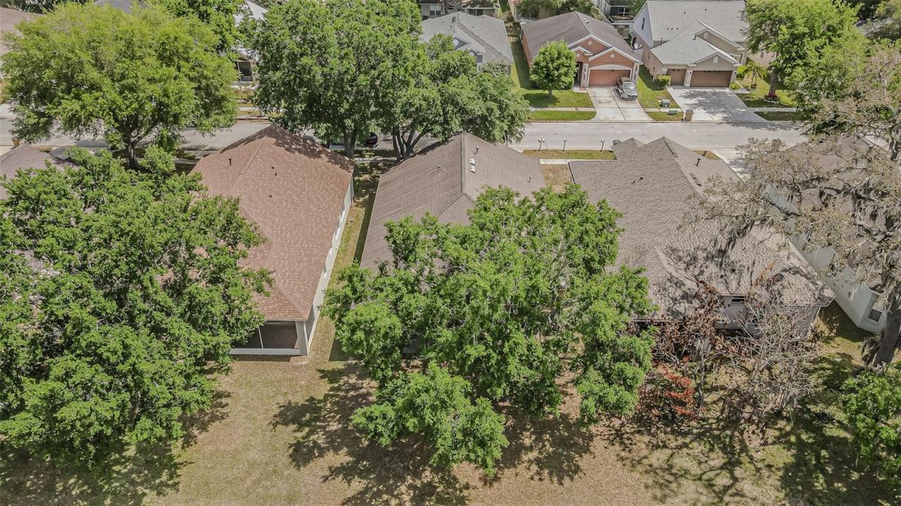 13016 Terrace Brook Place, Temple Terrace, FL 33637 Photo