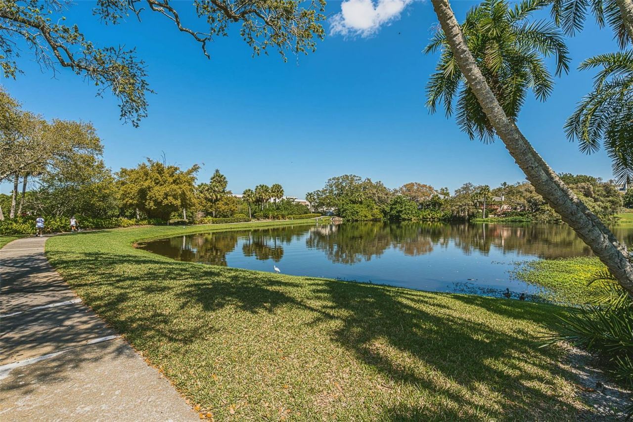 100 Oakmont Lane, Unit 203, Belleair, FL 33756 Photo