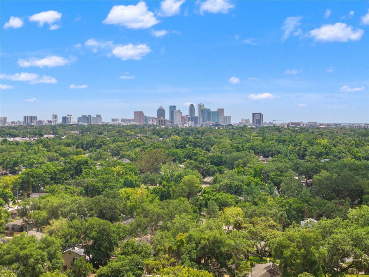 324 W Haya Street, Tampa, FL 33603 Photo