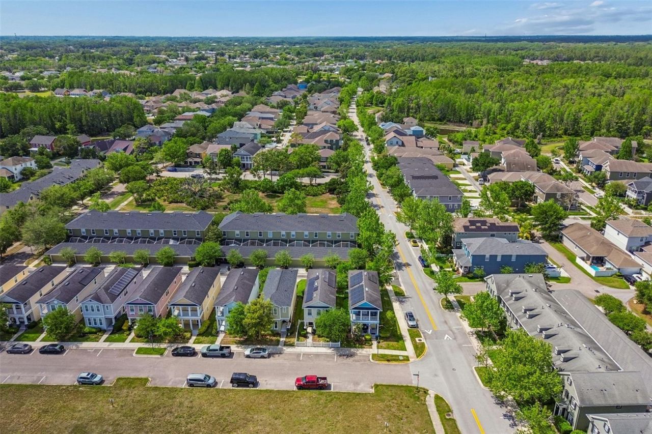 3473 Bumelia Lane , New Port Richey, FL 34655 Photo