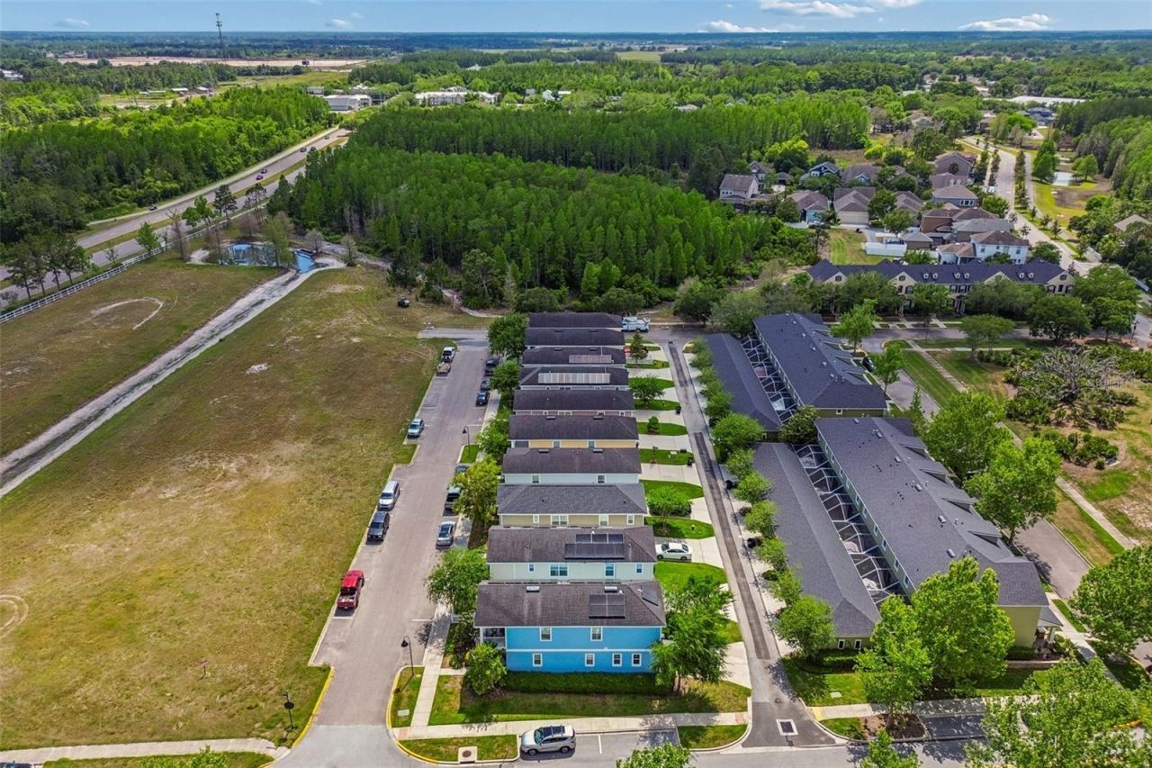 3473 Bumelia Lane , New Port Richey, FL 34655 Photo