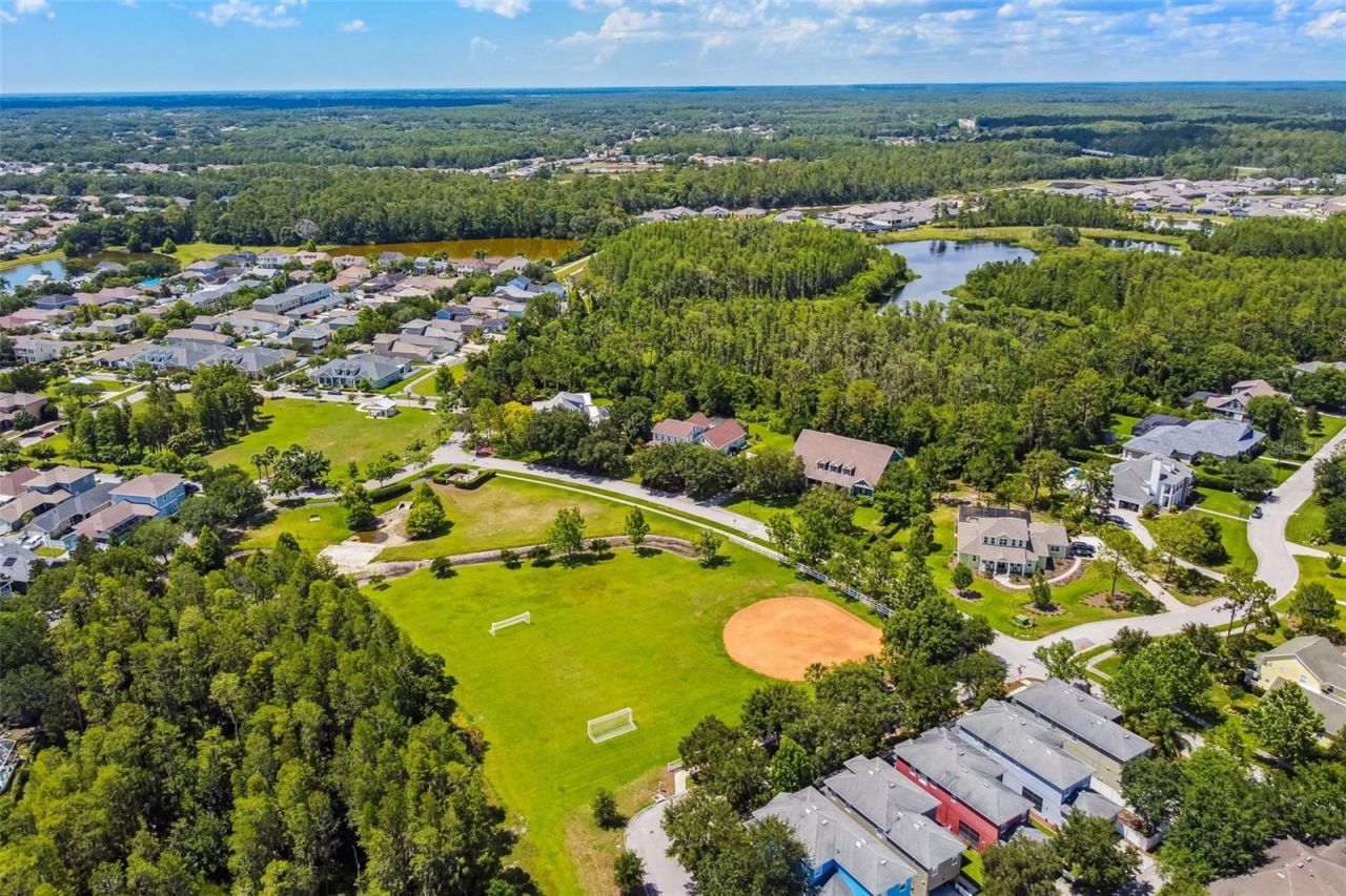 3473 Bumelia Lane , New Port Richey, FL 34655 Photo