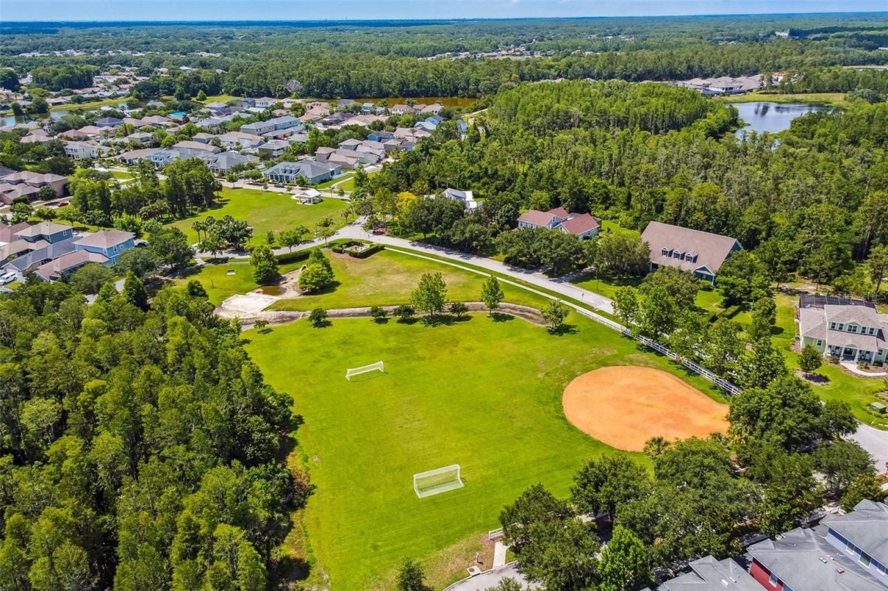 3473 Bumelia Lane , New Port Richey, FL 34655 Photo