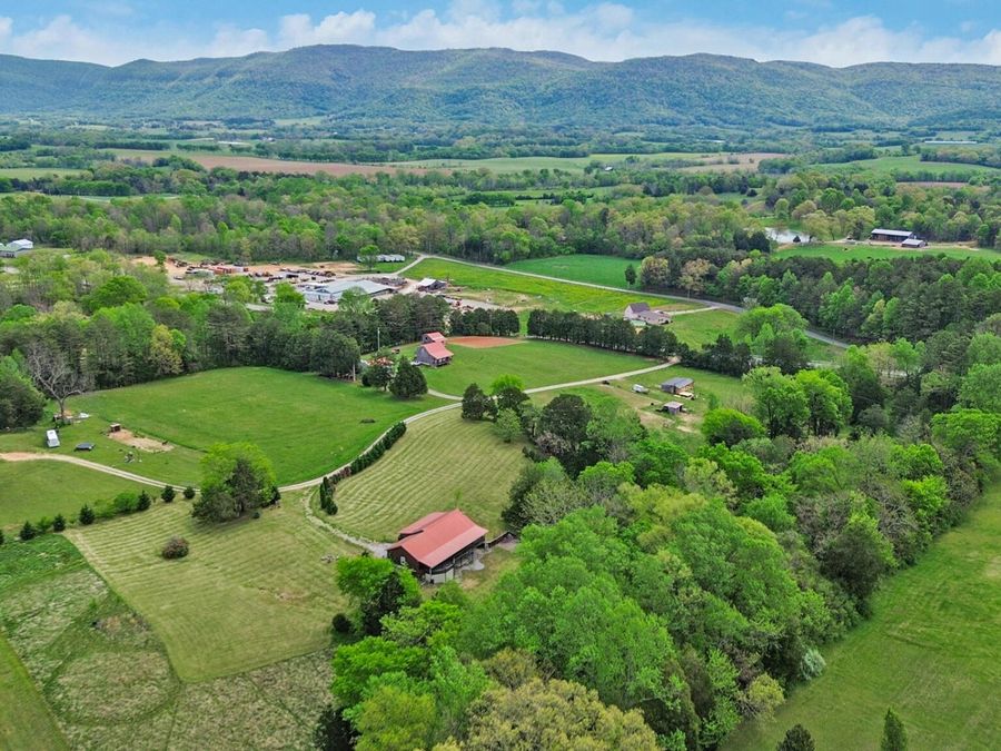 Property Image 32