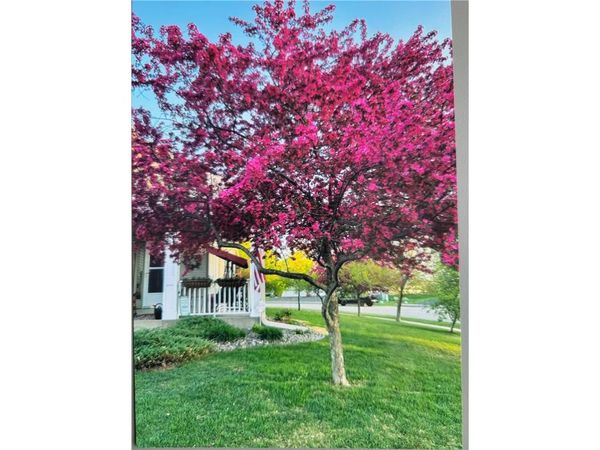 66 Meadowlark Drive, Hudson, WI 54016