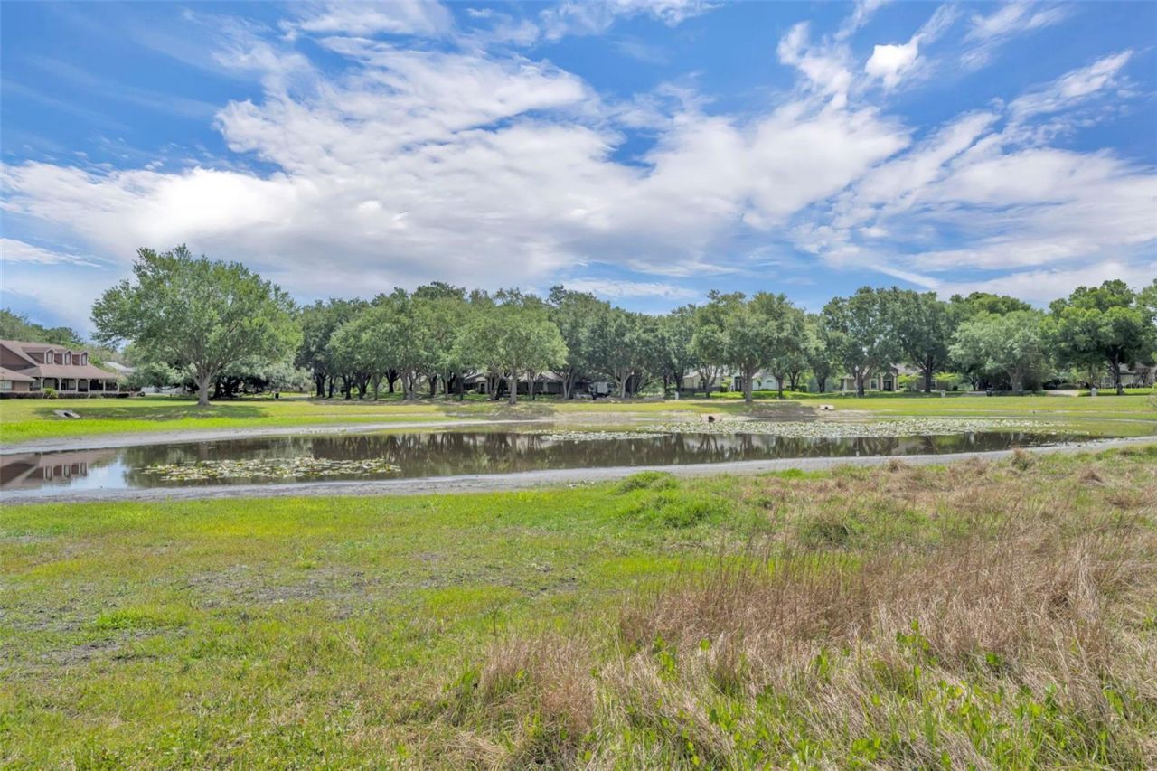 13536 Sunset Lakes Circle , Winter Garden, FL 34787 Photo