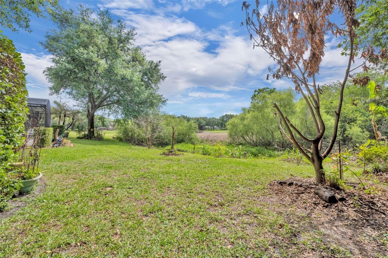 13536 Sunset Lakes Circle , Winter Garden, FL 34787 Photo