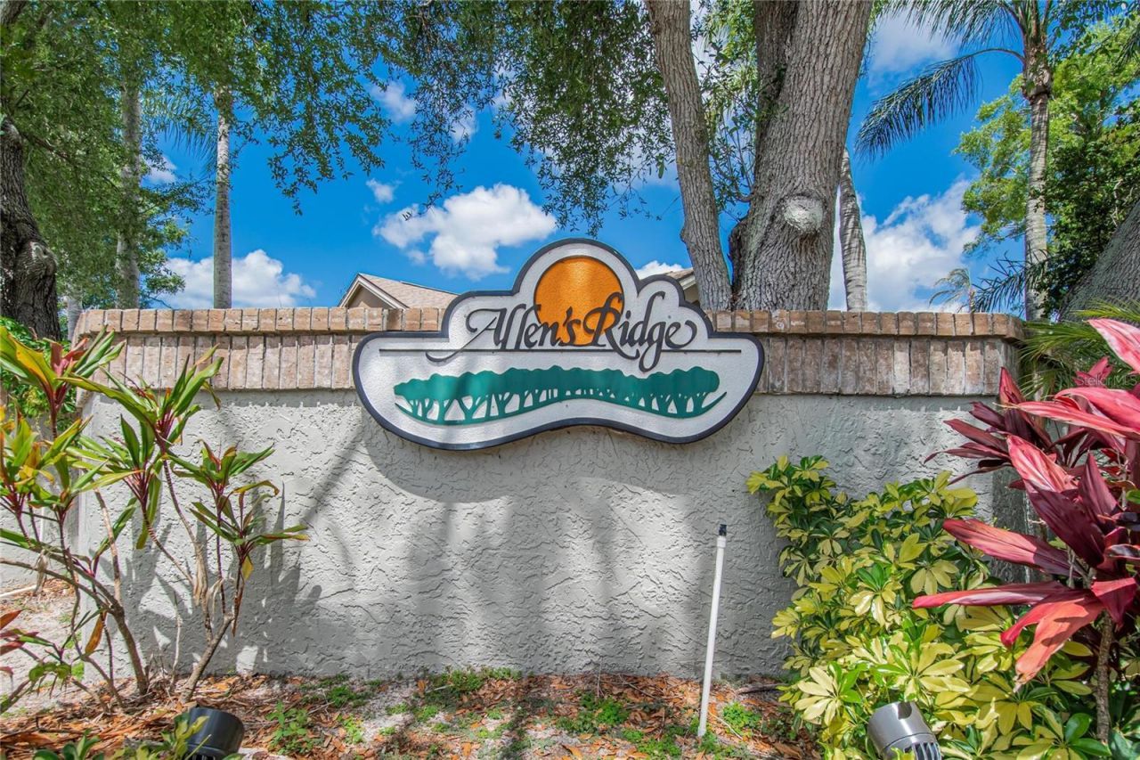 1668 Allens Ridge Drive N, Palm Harbor, FL 34683 Photo