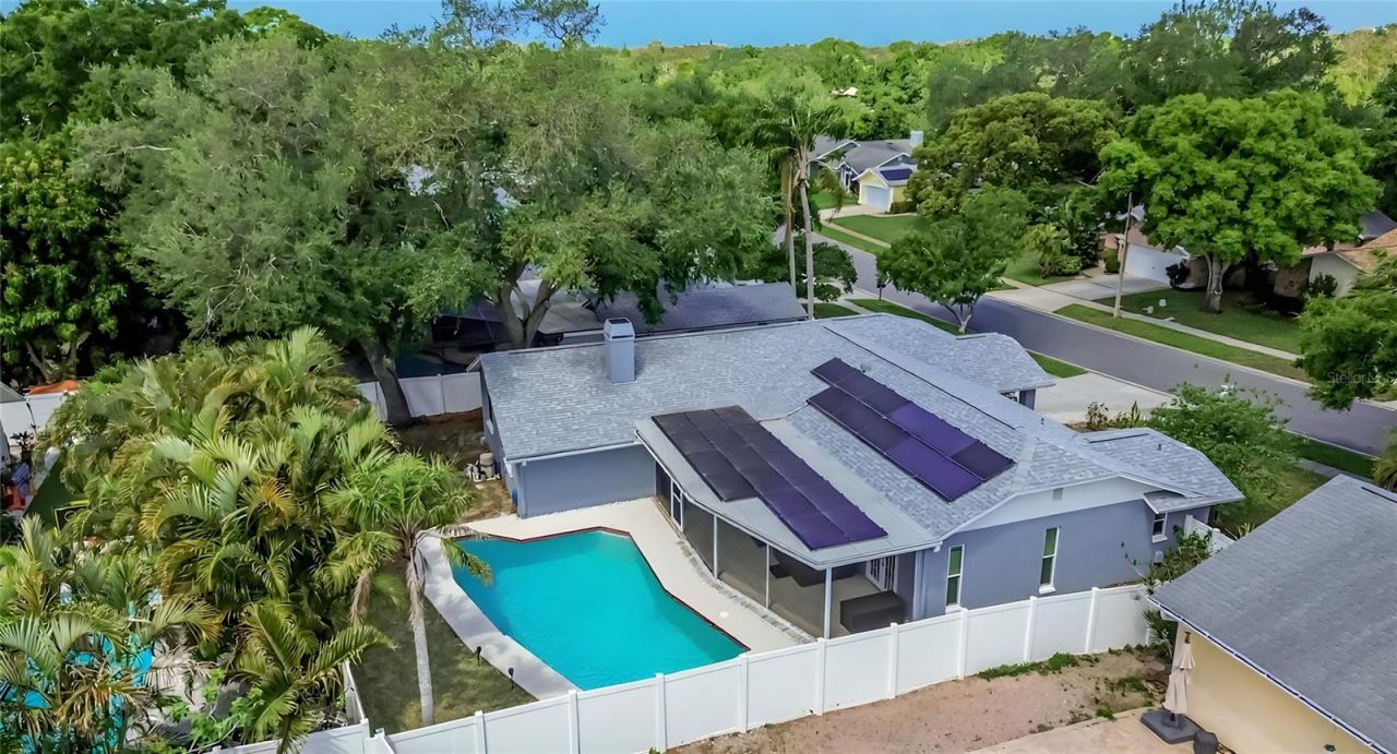 1668 Allens Ridge Drive N, Palm Harbor, FL 34683 Photo