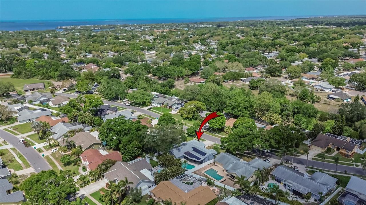 1668 Allens Ridge Drive N, Palm Harbor, FL 34683 Photo
