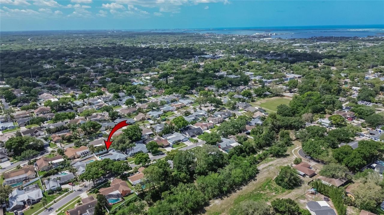 1668 Allens Ridge Drive N, Palm Harbor, FL 34683 Photo