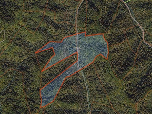 Martin Creek Rd, NAOMA, WV 25140