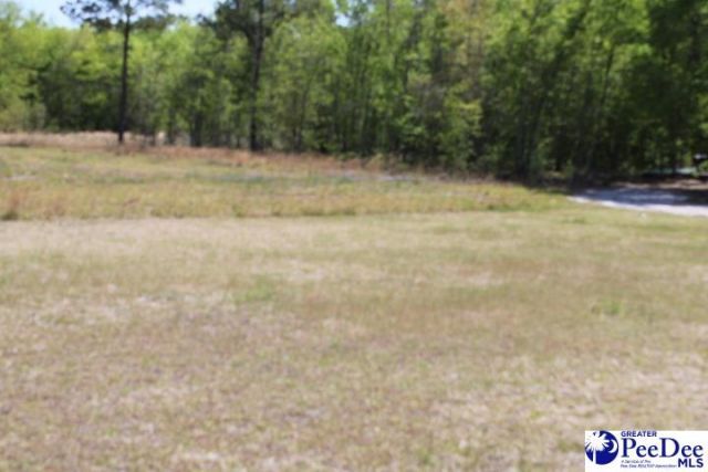 50 Diamond Loop Rd Photo 10