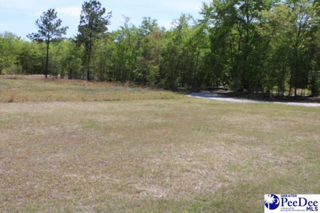 50 Diamond Loop Rd Photo 11