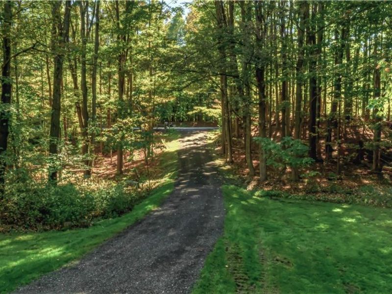 9690 Kinsman Road, Novelty, OH 44072 Photo 50