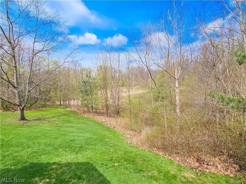 8633 Redtail Court, Macedonia, OH 44056 Photo 22