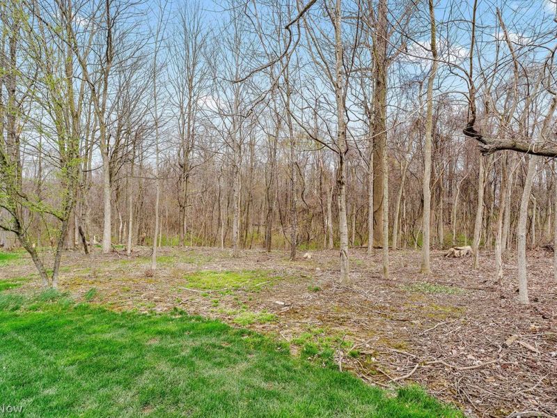 2847 Galway Drive , Brunswick Hills, OH 44212 Photo 54